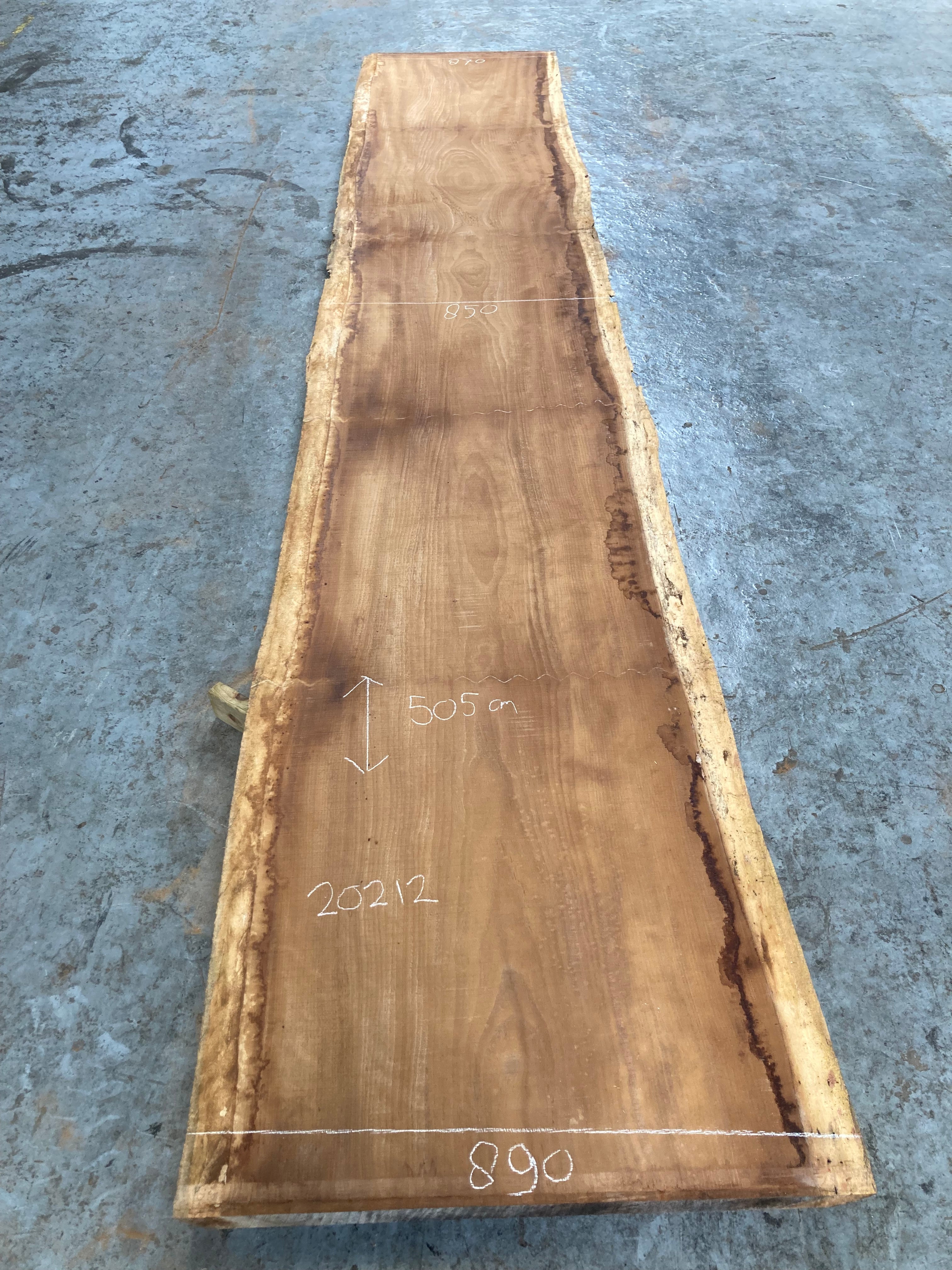 Iroko schaaldeel