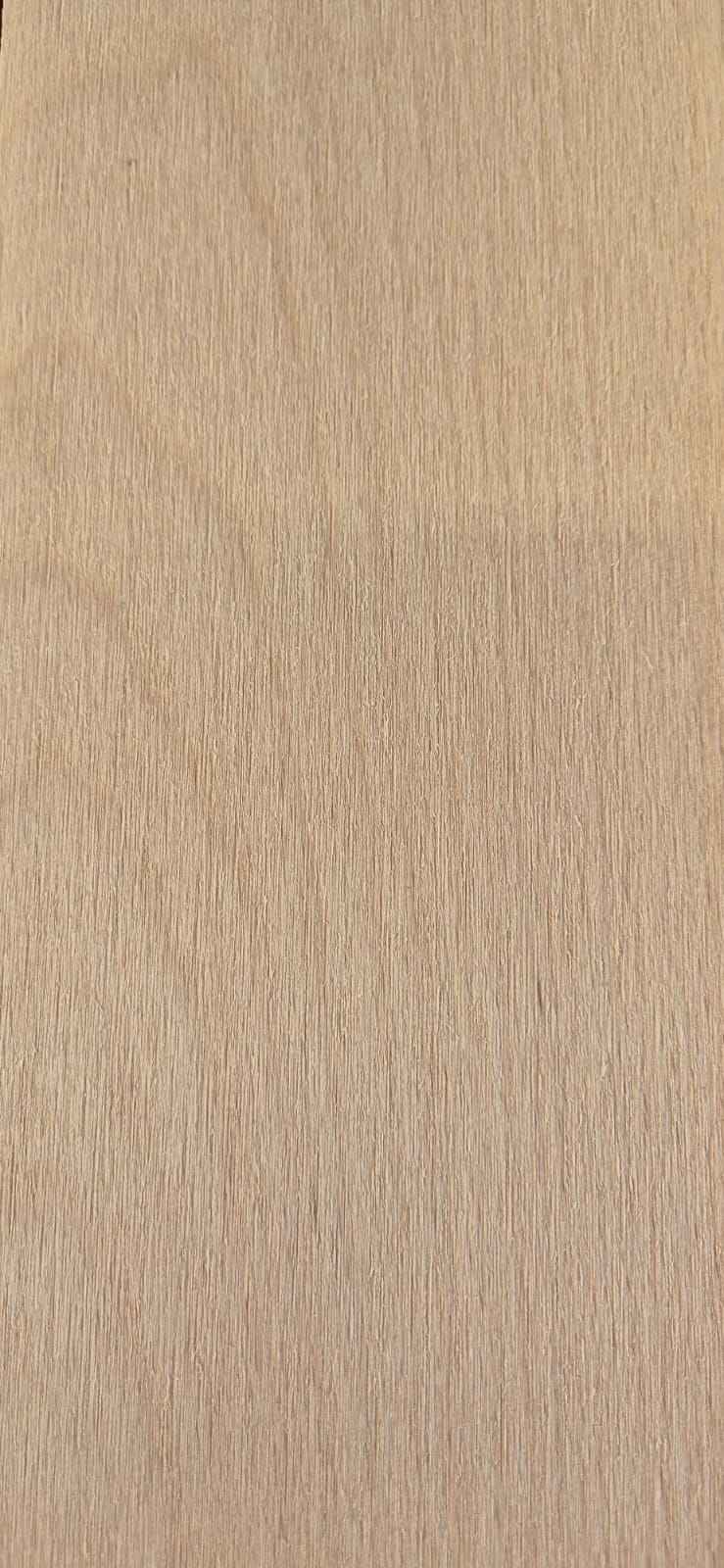 Beuken 52mm - Vallend breed