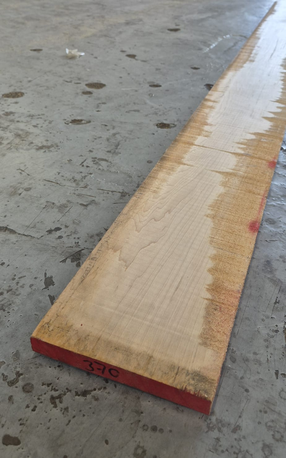 Esdoorn 24 x 175mm