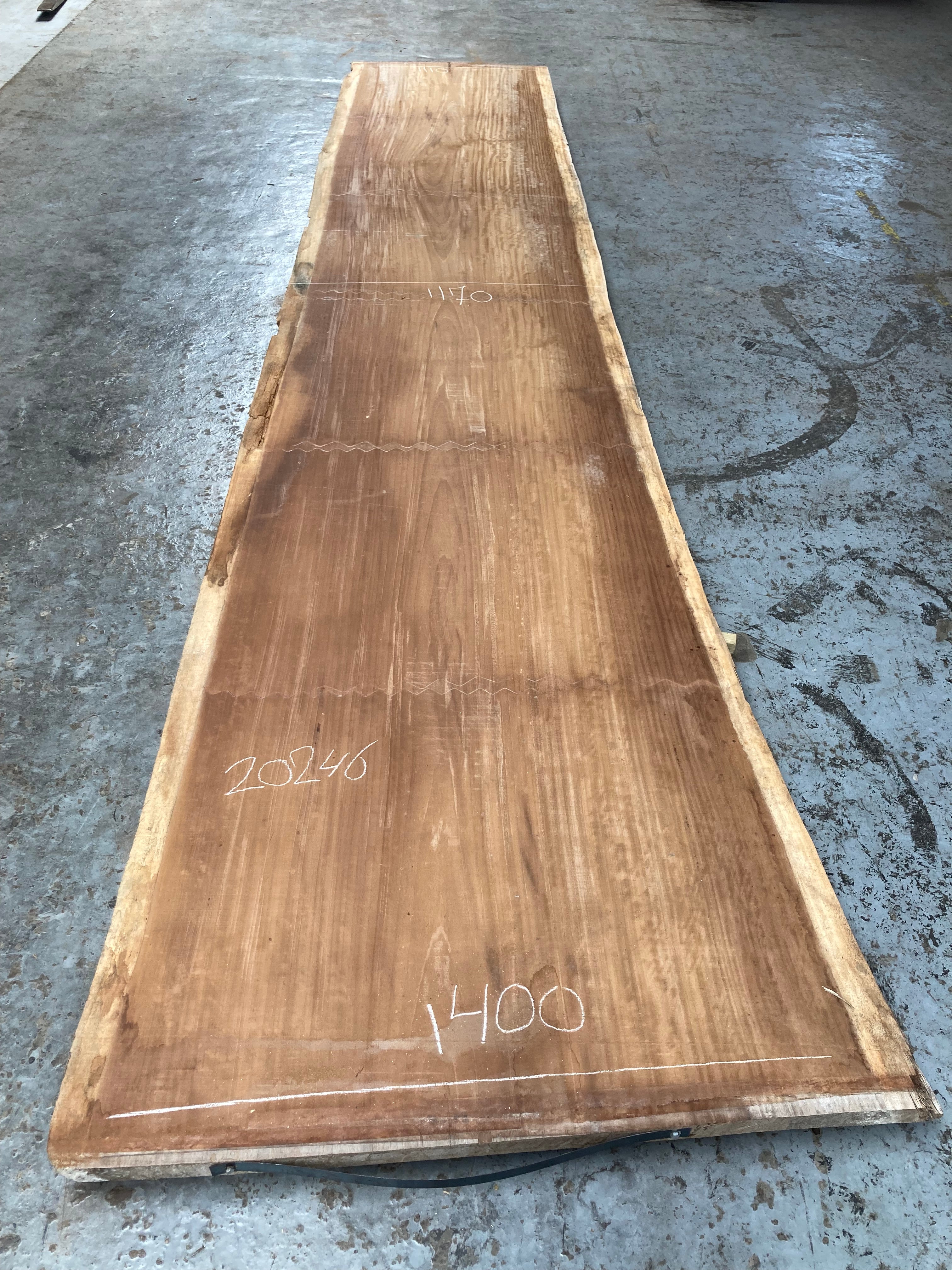 Iroko schaaldeel