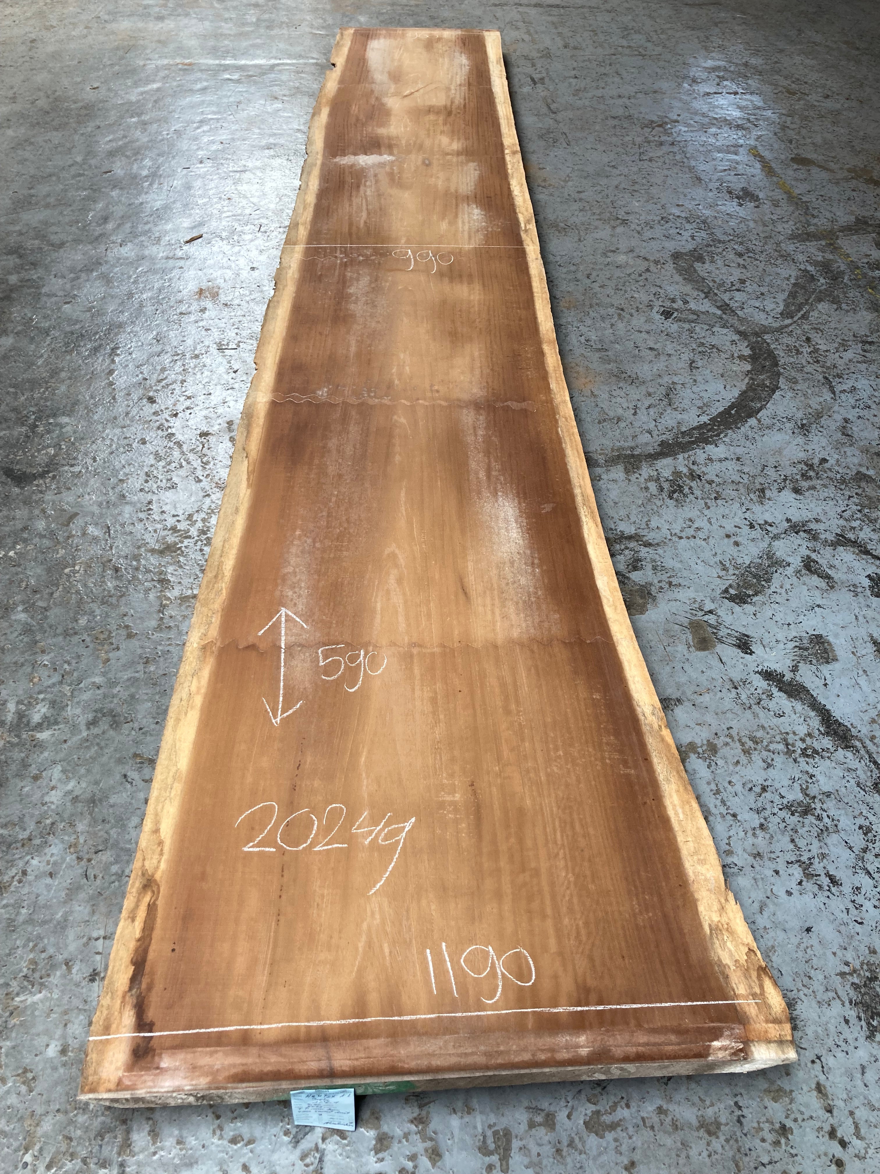 Iroko schaaldeel