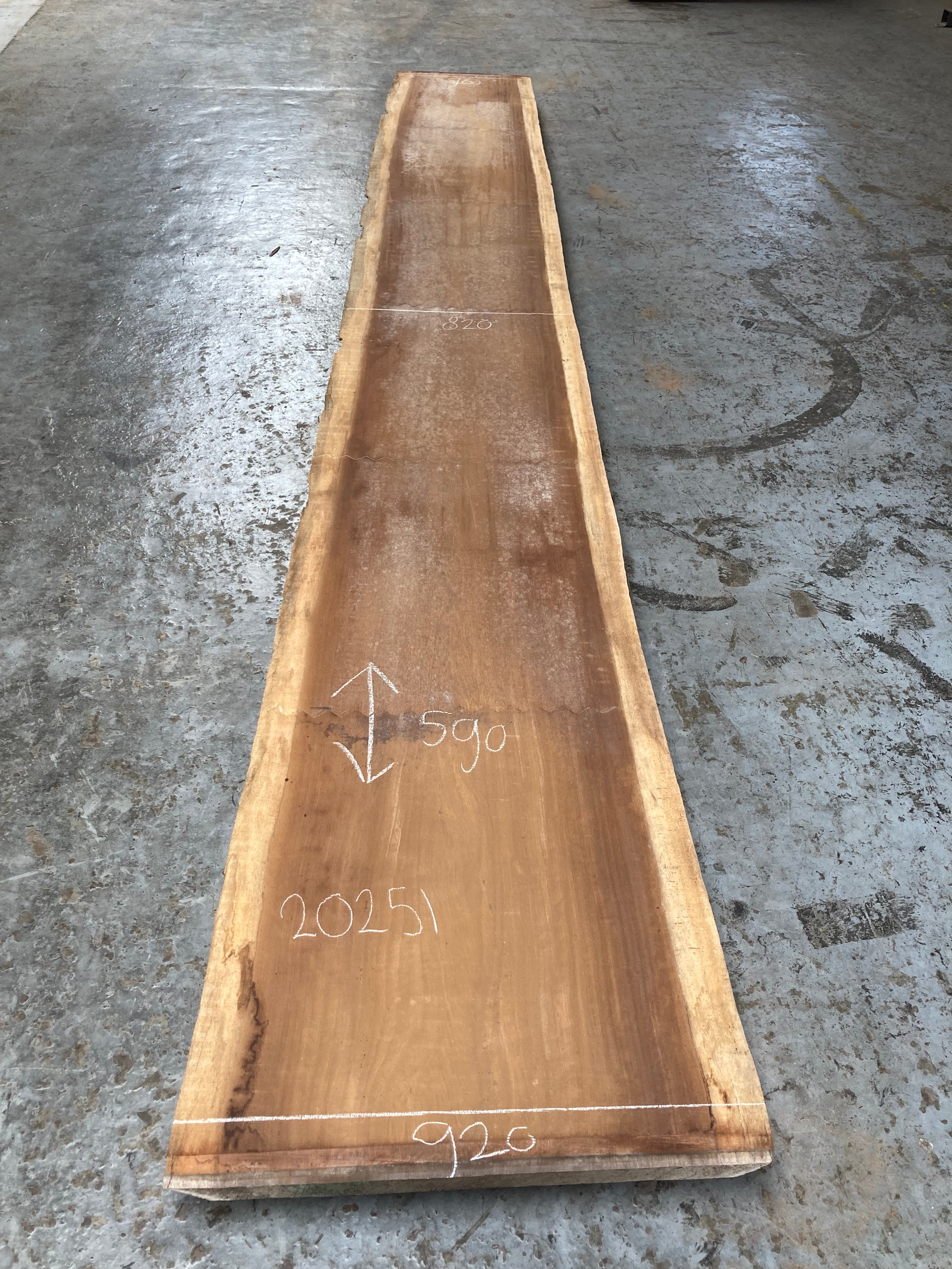 Iroko schaaldeel