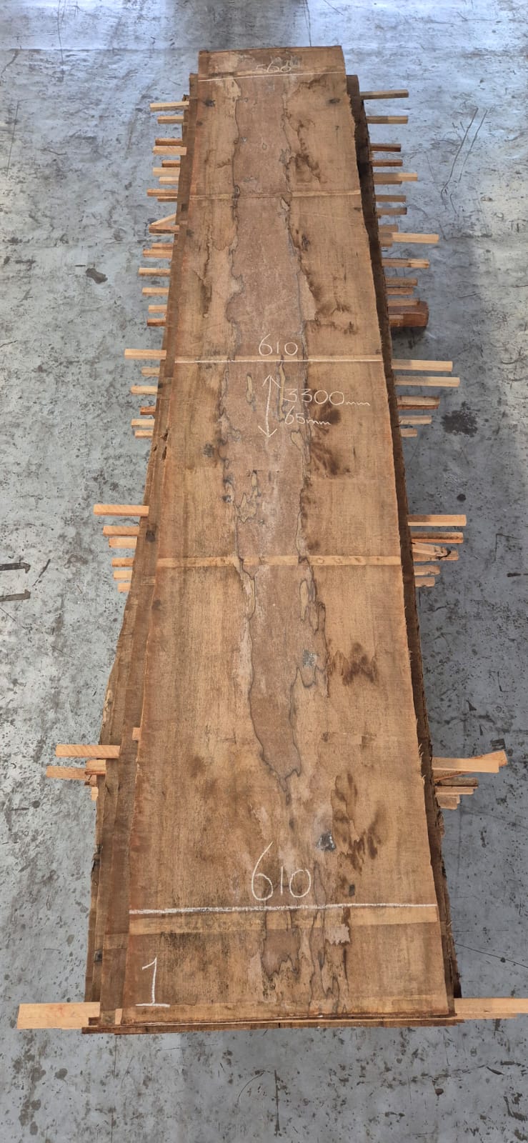 Limba Schaaldeel