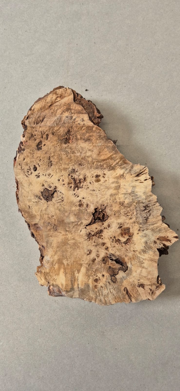 Mappa Burl