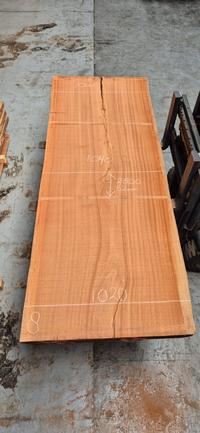 Mahonie Sipo 8 Mahonie Sipo - Houtexclusief Waddinxveen, Exclusief hout uit voorraad leverbaar