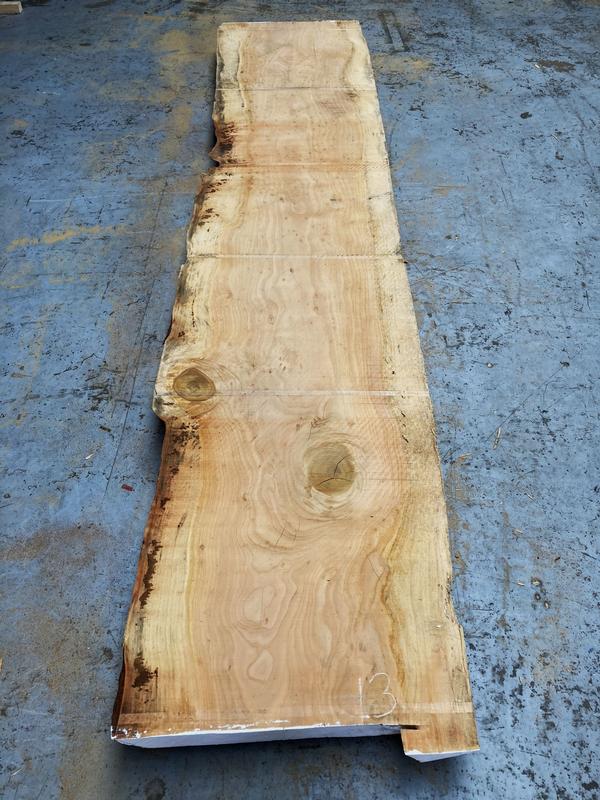 Stamdeel Libanon Cedar - 4100 - 13