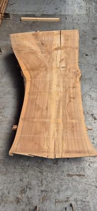 Europees Iepen 4 Europees Iepen - Houtexclusief Waddinxveen, Exclusief hout uit voorraad leverbaar