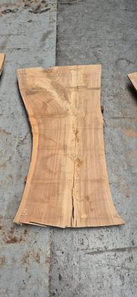 Europees Iepen 3 Europees Iepen - Houtexclusief Waddinxveen, Exclusief hout uit voorraad leverbaar