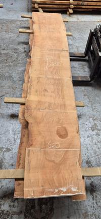 Libanon Cedar 14 Libanon Cedar - Houtexclusief Waddinxveen, Exclusief hout uit voorraad leverbaar