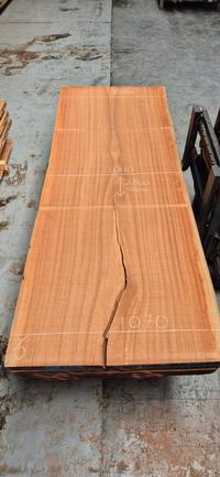 Mahonie Sipo 6 Mahonie Sipo - Houtexclusief Waddinxveen, Exclusief hout uit voorraad leverbaar