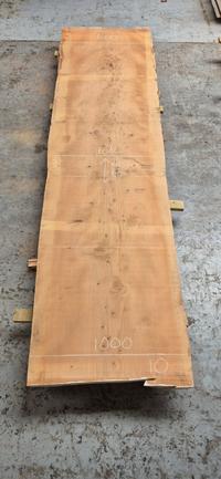 Libanon Cedar 10 Libanon Cedar - Houtexclusief Waddinxveen, Exclusief hout uit voorraad leverbaar