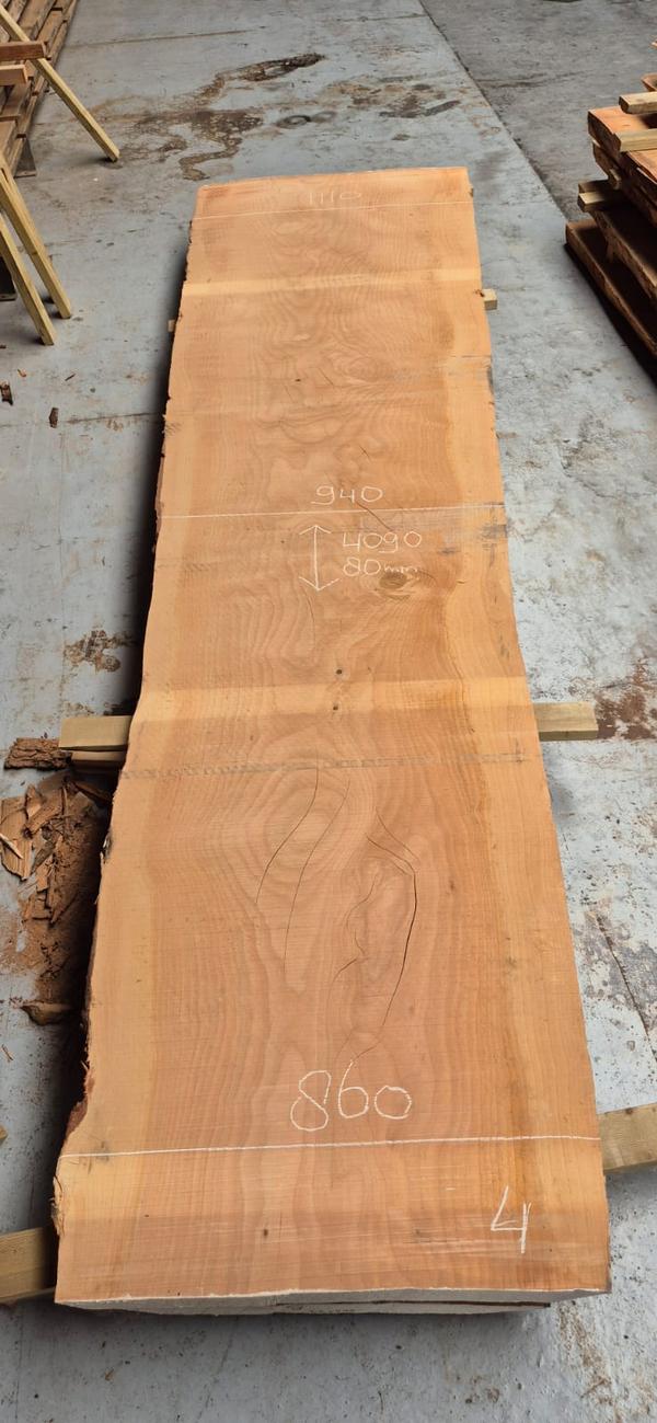 Libanon Cedar 4 Libanon Cedar