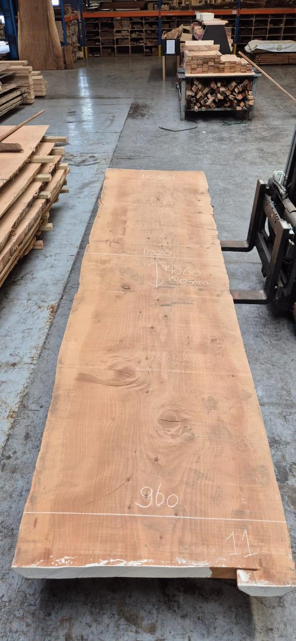 Libanon Cedar 11 Libanon Cedar