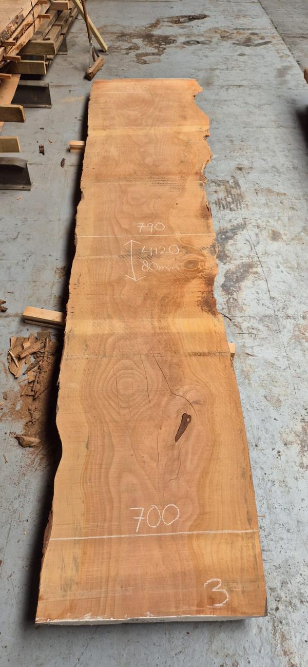 Libanon Cedar 3 Libanon Cedar