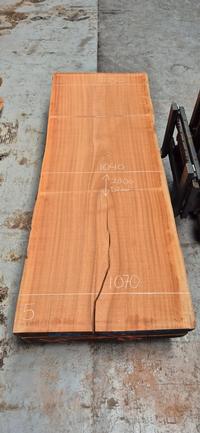 Mahonie Sipo 5 Mahonie Sipo - Houtexclusief Waddinxveen, Exclusief hout uit voorraad leverbaar