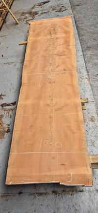 Libanon Cedar 9 Libanon Cedar - Houtexclusief Waddinxveen, Exclusief hout uit voorraad leverbaar