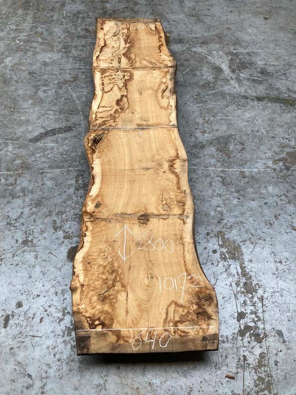 Stamdeel Europees Eiken 10172