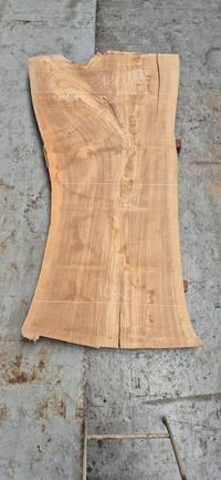Europees Iepen 2 Europees Iepen - Houtexclusief Waddinxveen, Exclusief hout uit voorraad leverbaar